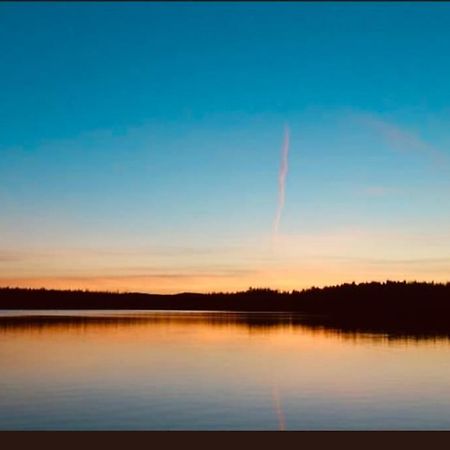 Egen Stuga Och Vedeldad Bastu Linghed Exteriör bild