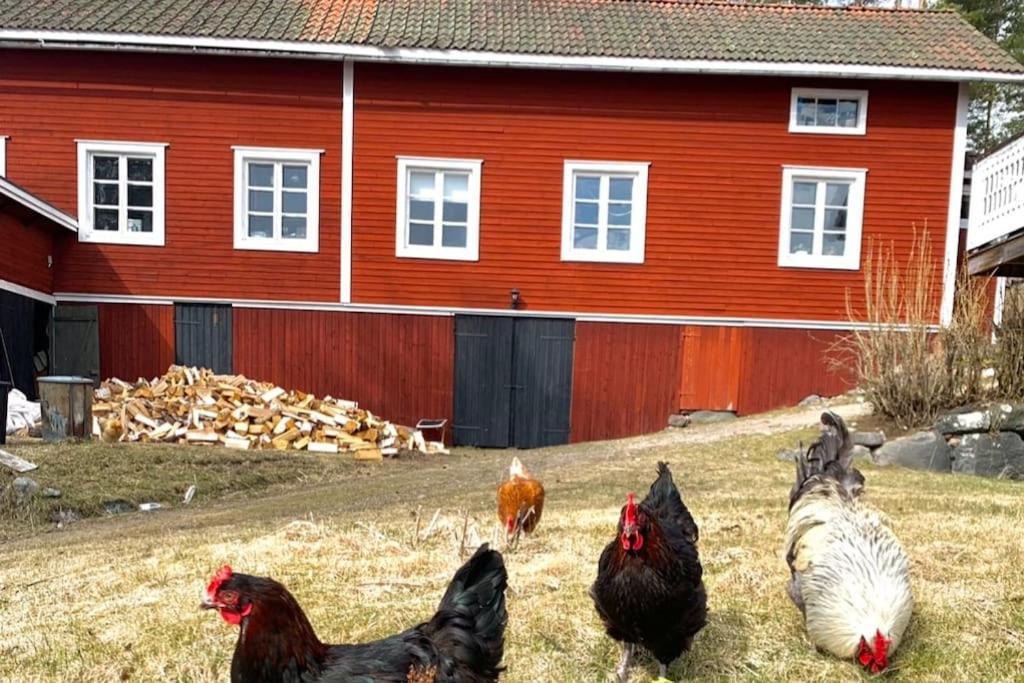 Egen Stuga Och Vedeldad Bastu Linghed Exteriör bild