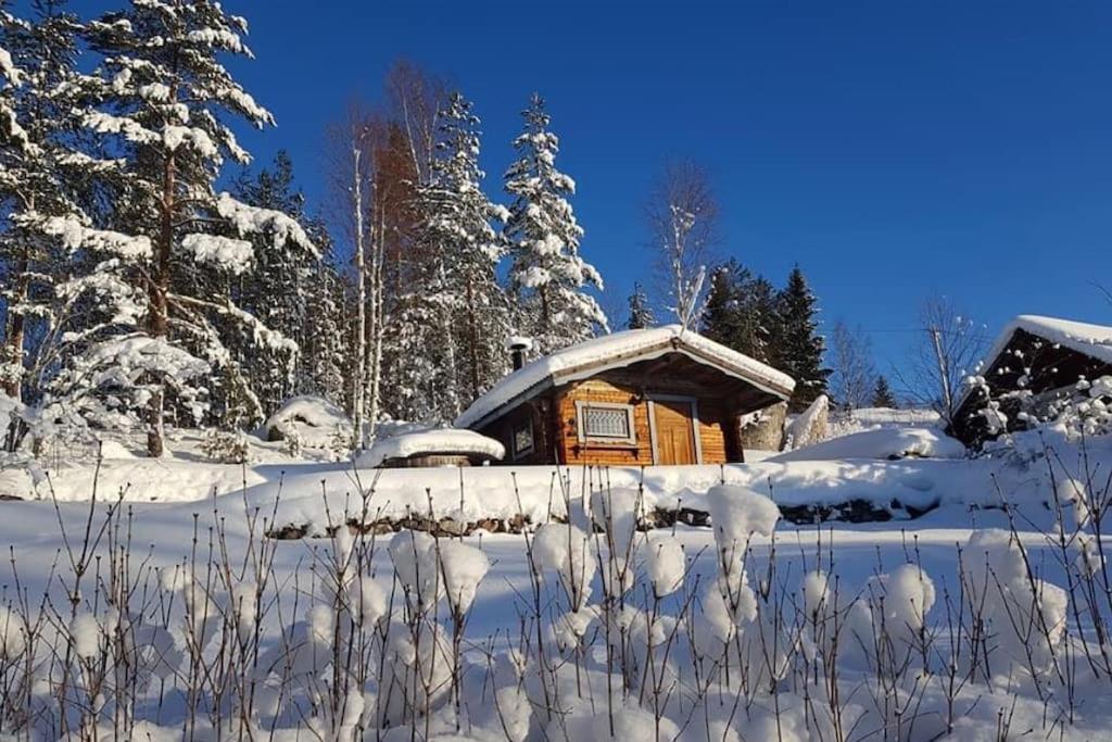 Egen Stuga Och Vedeldad Bastu Linghed Exteriör bild