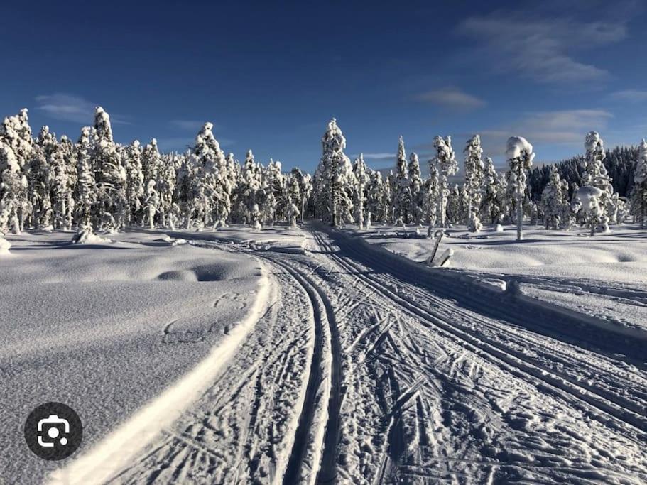 Egen Stuga Och Vedeldad Bastu Linghed Exteriör bild